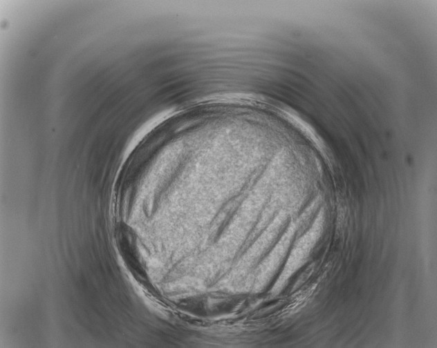 X0000086291050200704271757