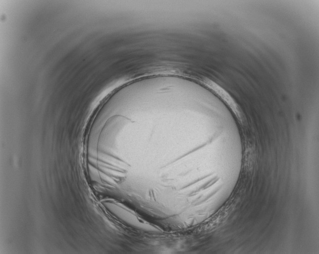 X0000086291051200704271757