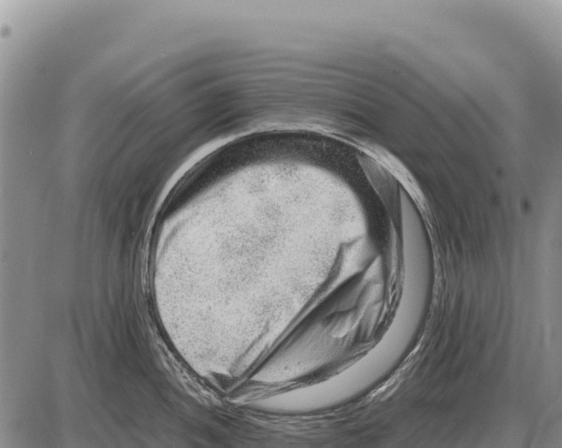 X0000086291052200704271757