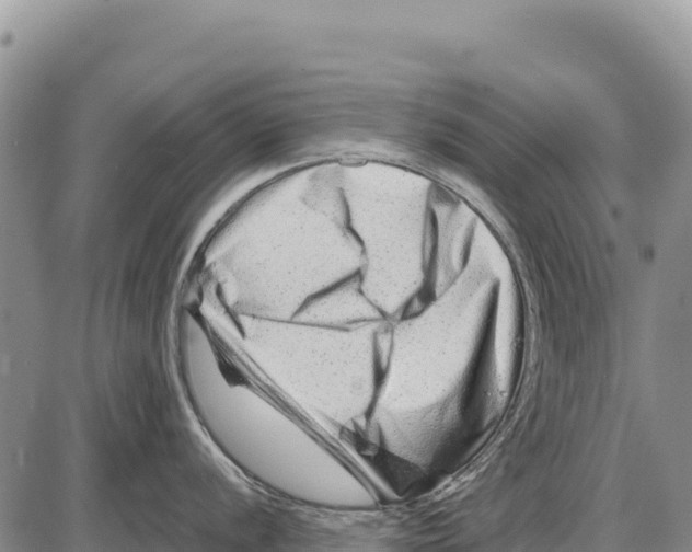 X0000086291056200704271757