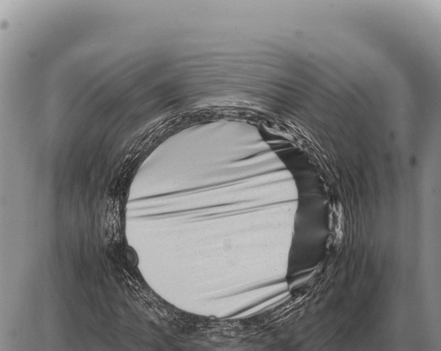 X0000086291062200704271756