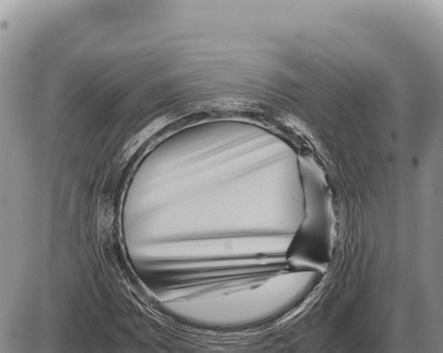 X0000086291065200704271756
