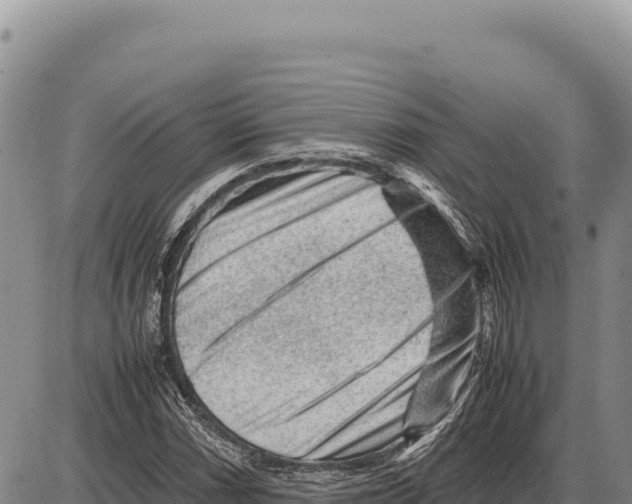 X0000086291066200704271756