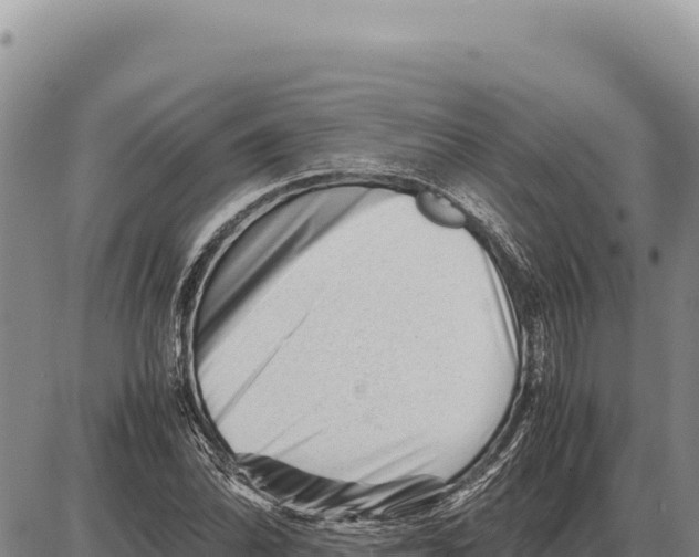 X0000086291070200704271756