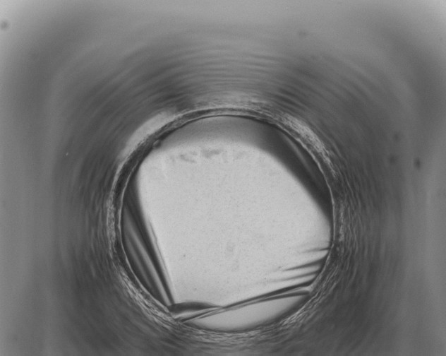 X0000086291072200704271756