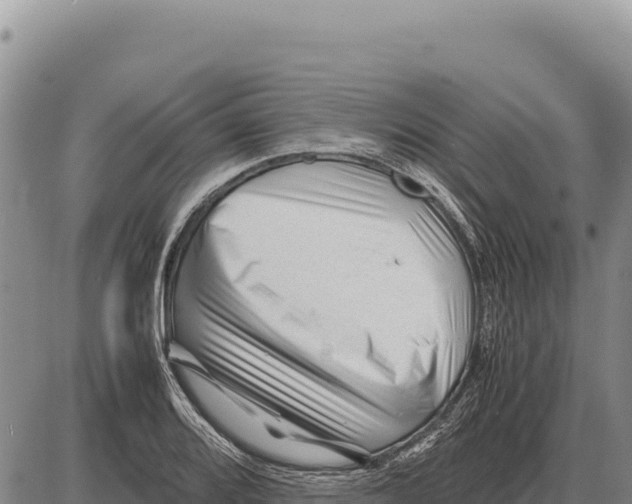 X0000086291080200704271756