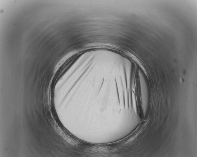 X0000086291082200704271756