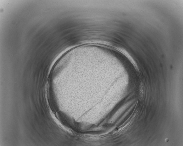 X0000086291100200704271756