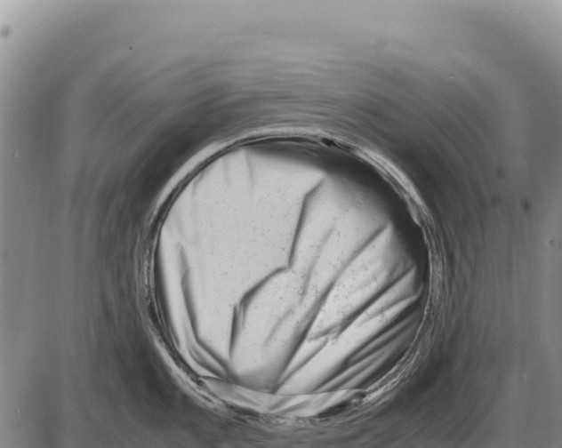 X0000086291101200704271756