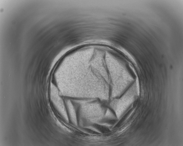 X0000086291102200704271756