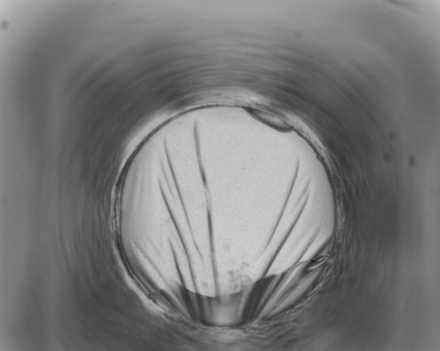 X0000086291103200704271756