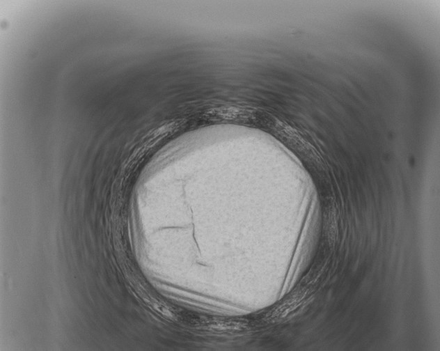 X0000086291105200704271755