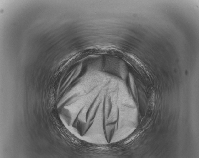 X0000086291110200704271755