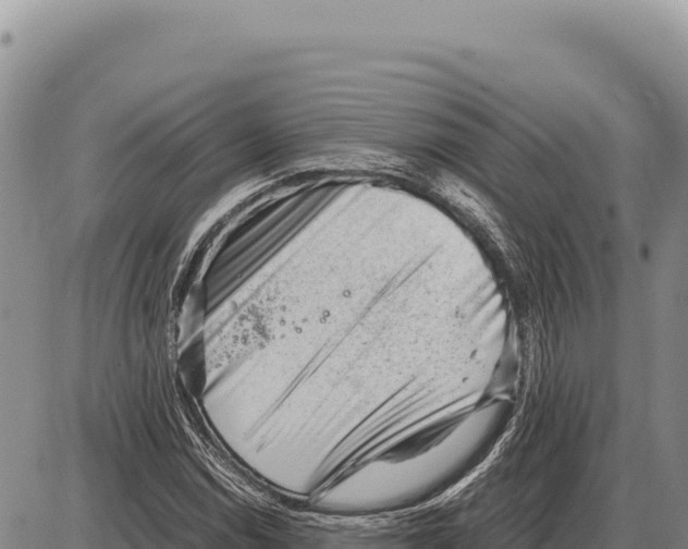 X0000086291114200704271755
