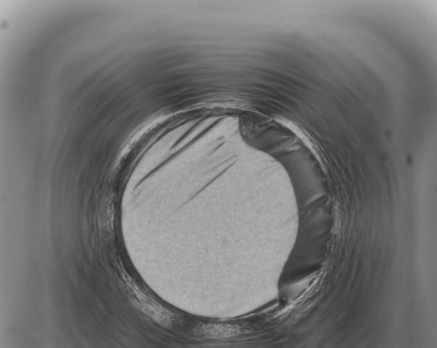 X0000086291115200704271755
