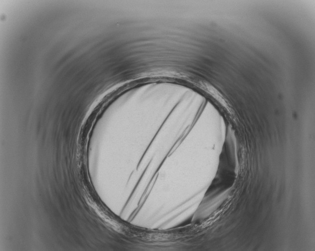 X0000086291116200704271755