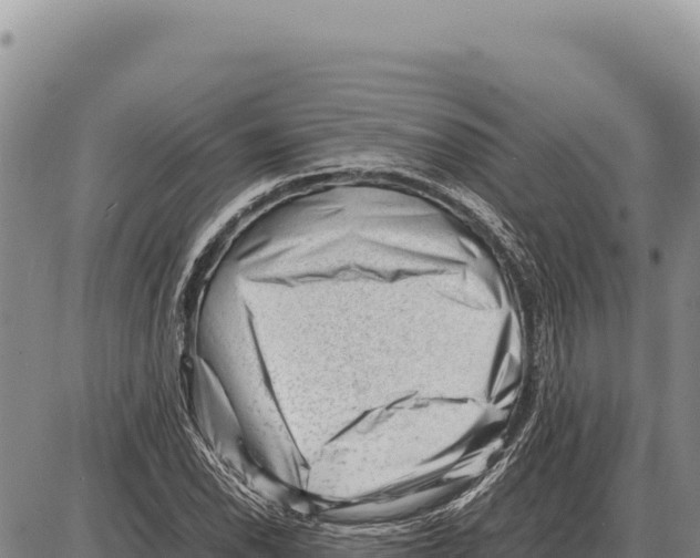 X0000086291118200704271755