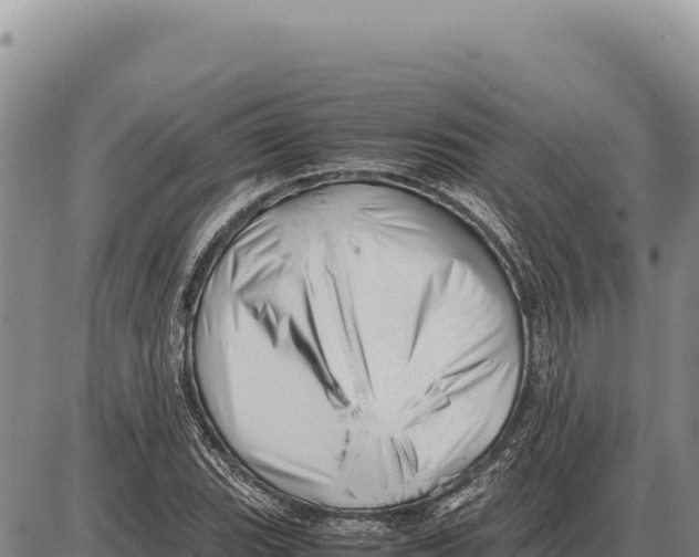 X0000086291119200704271755