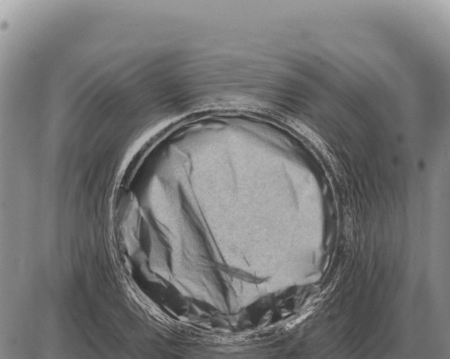 X0000086291120200704271755