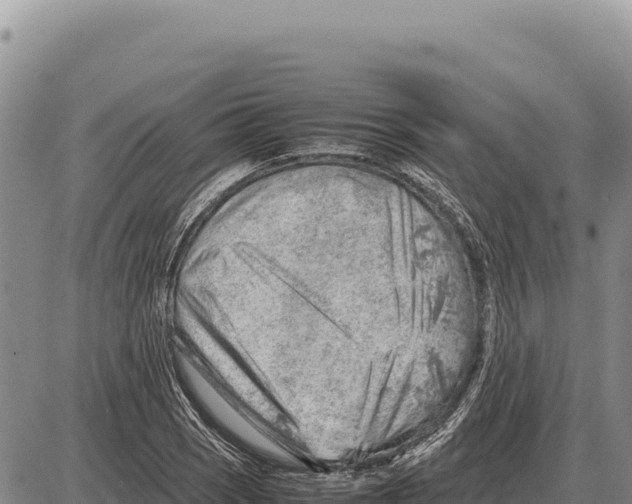 X0000086291121200704271755