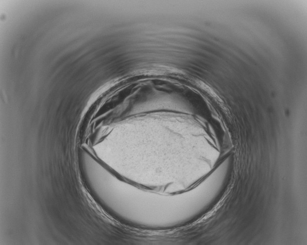X0000086291122200704271755