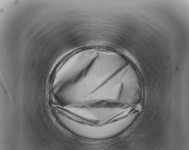 X0000086291124200704271755