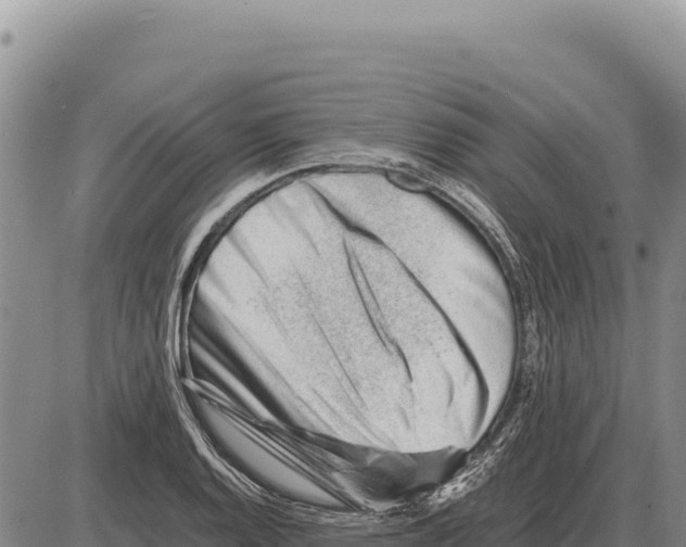 X0000086291128200704271755