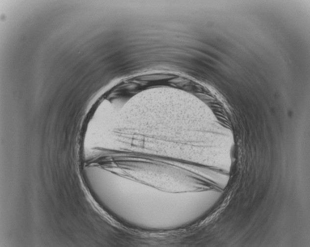 X0000086291134200704271755