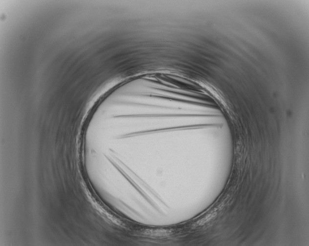X0000086291135200704271755