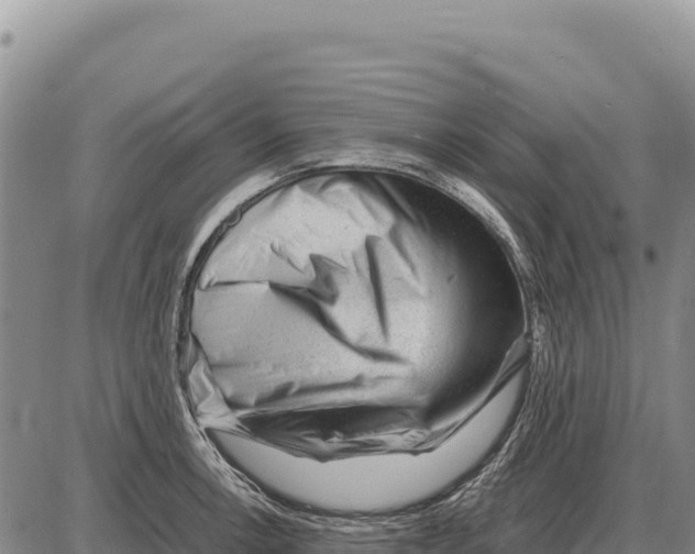 X0000086291138200704271755