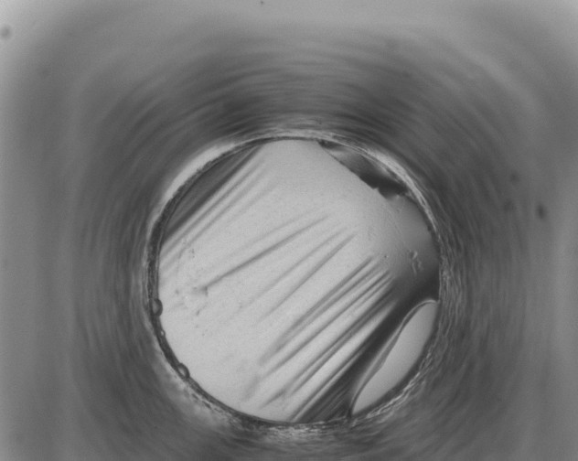X0000086291147200704271756