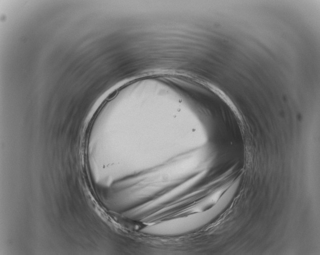 X0000086291148200704271756