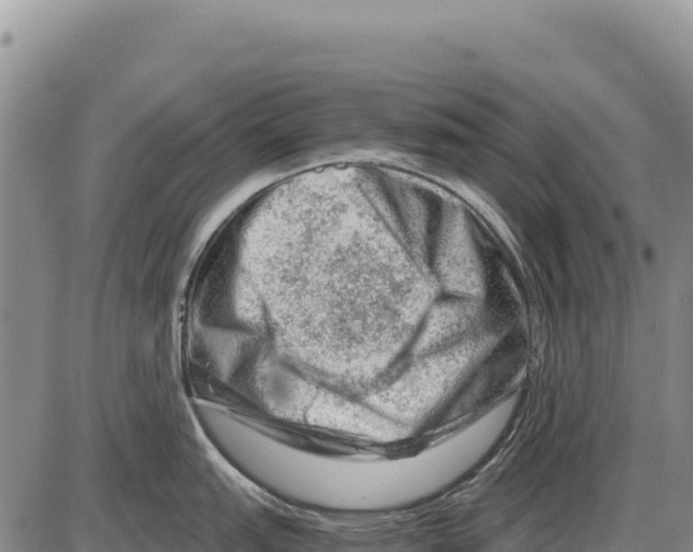 X0000086291151200704271756