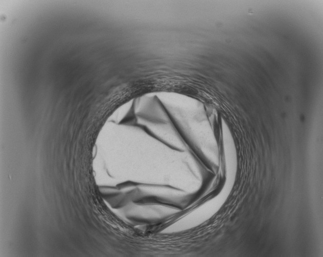 X0000086291153200704271755