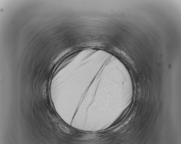 X0000086291162200704271755