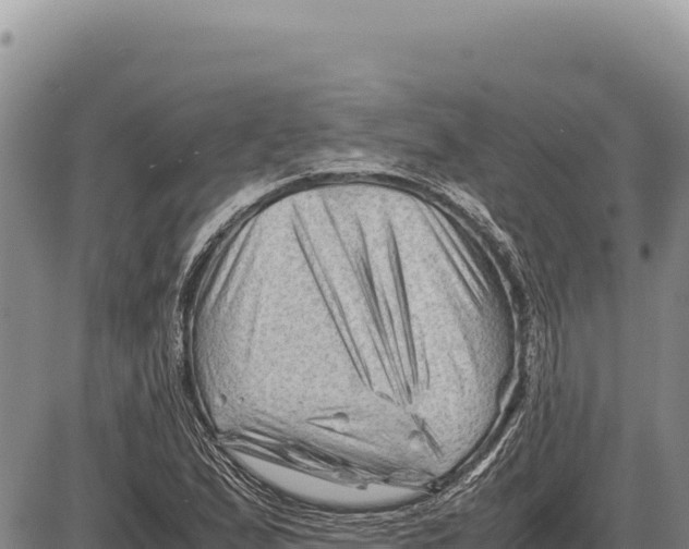 X0000086291167200704271755