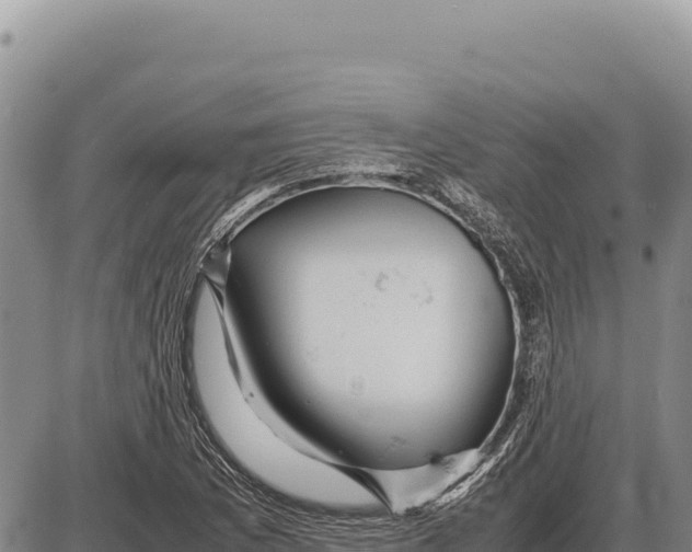 X0000086291169200704271755