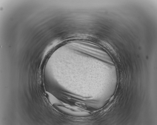 X0000086291172200704271755
