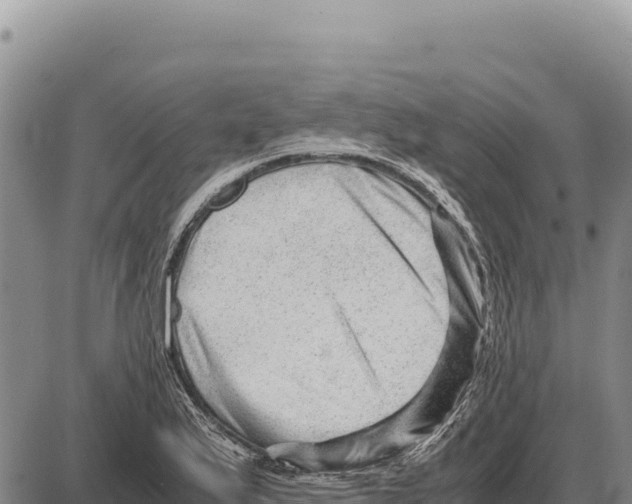 X0000086291175200704271755