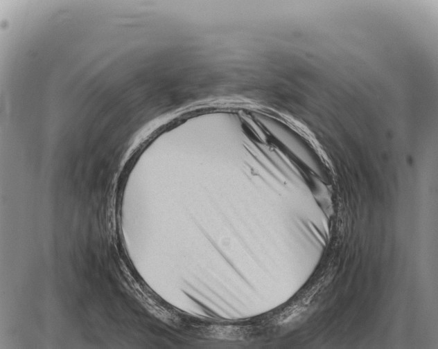 X0000086291176200704271755