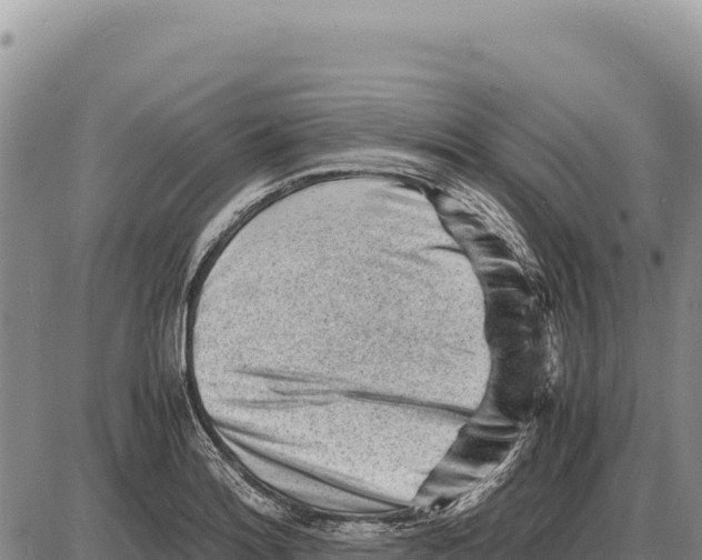 X0000086291180200704271754