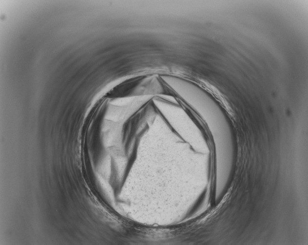 X0000086291184200704271754
