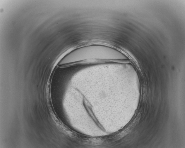 X0000086291190200704271754