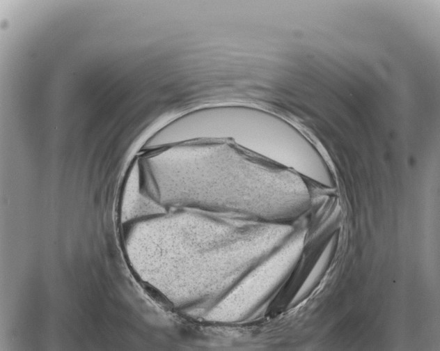 X0000086291197200704271754