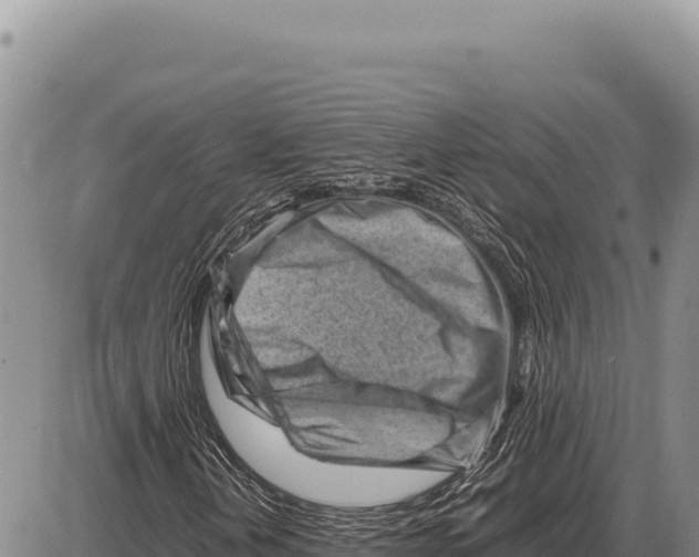 X0000086291202200704271753