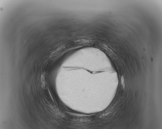 X0000086291203200704271753