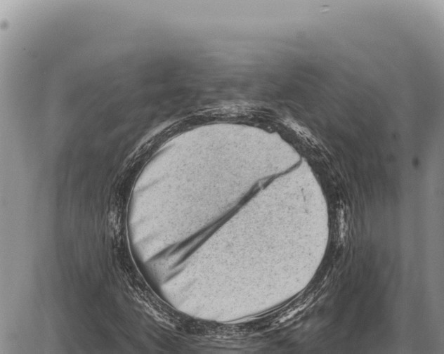 X0000086291206200704271753