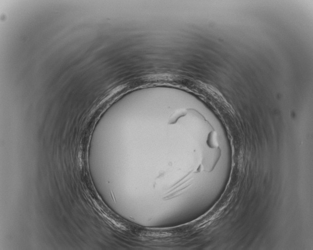 X0000086291209200704271753