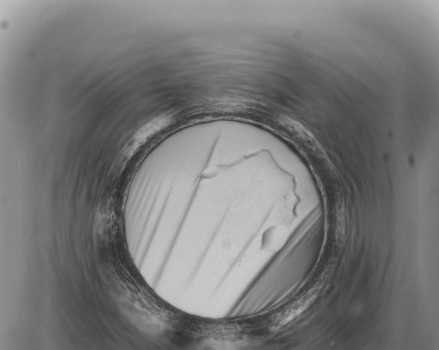 X0000086291210200704271753