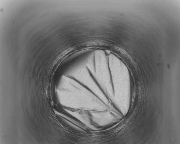 X0000086291217200704271754